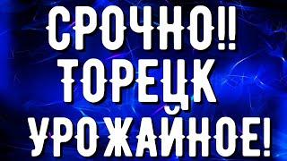 Срочная сводка! Торецк, Урожайное. Харьковская область, Трамп.