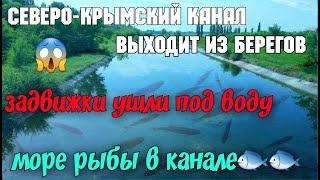 Что творится с Северо-Крымским каналом?Переполнен и выходит из берегов.Затопило задвижки гидроузла