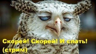 Скорей! Скорей! И спать! (стрим)