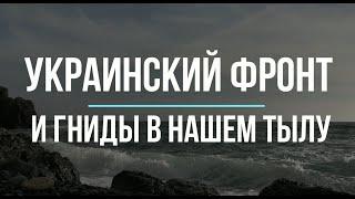 Украиснкий фронт и гниды в тылу