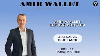 Amir Wallet: Взгляд Изнутри | 30.11.2023