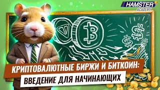 Криптовалютные биржи и биткойн: Введение для начинающих