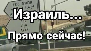 И3РАИЛЬ ПРЯМ0 СЕЙЧАС! Тамир Шейх