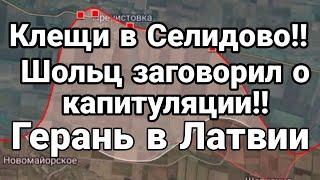 Клещи в Селидово Шольц заговорил о капитуляции Герань в Латвии