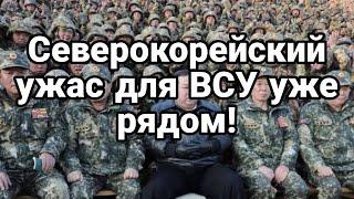 Северокорейские войска ПОЙДУТ НА КИЕВ?