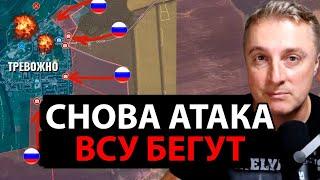 03.09.2024 Саня во Флориде Сводка с фронта. Юрий Подоляка, Анатолий Шарий, Никотин, Онуфриенко и др.