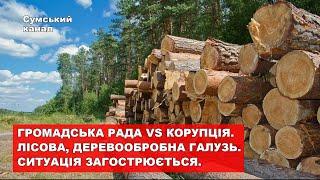 Громадська рада vs корупція. Лісова, деревообробна галузь. Ситуація загострюється. @sumychannel