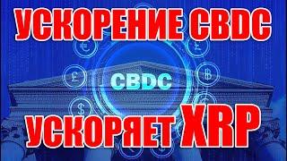 RIPPLE XRP ПРИМУТ БЫСТРЕЕ ИЗ-ЗА УСКОРЕНИЯ ПРИНЯТИЯ CBDC