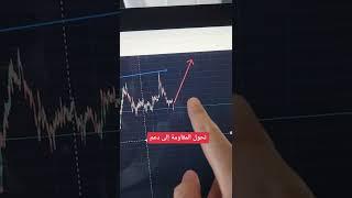 وضع سوق العملات الرقمية حاليا