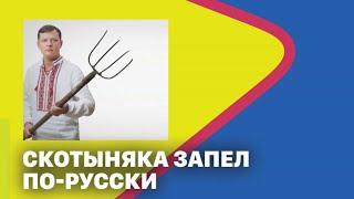 Тарас Незалежко 01.11.23 «ДОБРОГО ВЕЧОРА МИ З УКРАЇНИ» на канале "Мрия 24"  СКОТЫНЯКА ЗАПЕЛ