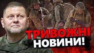 Важливо! ЗАЛУЖНИЙ це визнав / Що сказав ГЕНЕРАЛ? | МУСІЄНКО @Musienko_channel