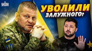 "Зеленский уволил Залужного". Куда пропал главком? Прямой ответ Подоляка