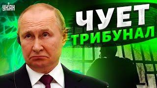 Агония Путина. Плешивый старикан молит о мире, учуяв трибунал – Подоляк