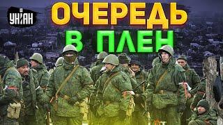 Россияне массово побегут в плен ВСУ. Подоляк заинтриговал прогнозом