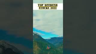 Top Dividend Stocks 2022 