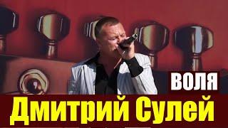 Дмитрий Сулей-ВОЛЯ