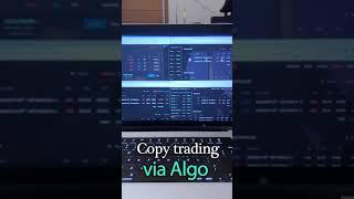 How copy trading works via Algo