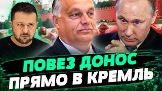 ОРБАН ЗАДЕЛАЛСЯ В МИРОТВОРЦЫ! После Киева поехал в МОСКВУ!  Анализ Михаила Подоляка