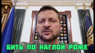 Зеленский потерял берега  Гончаренко отправил сынка в столицу Голландии Михаил Онуфриенко