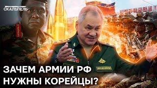 Шойгу НЕ БРЕЗГУЕТ НИЧЕМ: за РФ будут воевать КОРЕЙЦЫ И ЭФИОПИЯ?