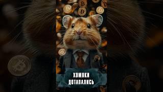 HAMSTER COMBAT ВСЁ-ТАКИ ОКАЗАЛСЯ СКАМОМ? #Новости #Лобушкин #хомяк #hamster