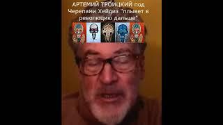 АРТЕМИЙ ТРОИЦКИЙ О ЗЕЛЕНСКОМ