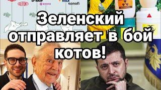 НА ФР0НТ 0ТПРАВЛЯЮТ К0Т0В! Тамир Шейх